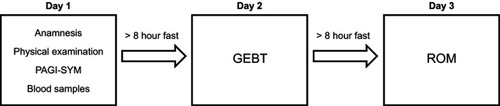 Figure 1 Study protocol.Abbreviations: PAGI-SYM, Patient assessment of upper gastrointestinal symptom severity index; GEBT, 13Carbon-labelled gastric emptying breath test of solids; ROM, [gastric emptying of] radiopaque markers.