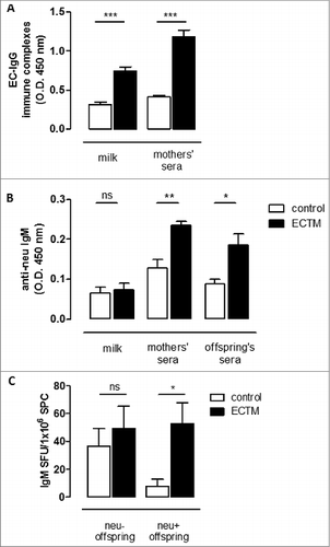 Figure 4. The passive transfer of maternal immunity induces an active humoral immune response in offspring. (A) Detection of EC–IgG immune complexes in mothers' milk and sera. (B) Detection of anti-neu IgM in mothers' milk and sera and in the sera of their 3- to 4-week-old offspring. (C) Presence of neu-specific IgM+ memory B cells in 5-week-old neu- and neu+ offspring. neu-specific IgM-secreting cells are expressed as SFU/1 ×106 B cells. In all panels, white bars refer to control vaccinated mice, black bars to ECTM vaccinated mice. Data show the mean ± SEM of values obtained from 2 to 3 independent experiments. *, p = 0.01; **, p = 0.004; ***, P ≤ 0.0007, Student's t-test.