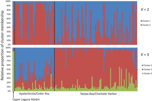 Figure 2. Bar graph of Structure analysis clustering results at two different levels of population structure (K = 2, 3) for composite small-scale menhadens (Brevoortia gunteri and B. smithi). Each bar on the graph represents a single individual; individuals are arranged in order of sample longitude from west to east. The first two individuals are presumed B. gunteri; all other individuals are presumed B. smithi (both presumptions are based on known species distributions). The proportion of membership in each genetic cluster is represented by relative proportions of bar colors.