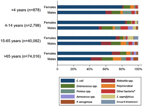 Figure 3. Distribution of uropathogens according to age group and gender. *Other bacteria were defined as species representing <1% in total.