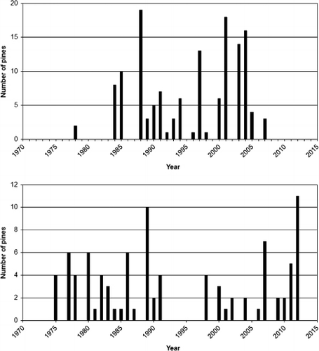 Fig. 4. Recruitment (upper bar chart) and mortality (lower bar chart) expressed as the number of pines during a specific year