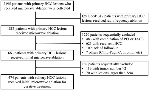 Figure 1. Flow diagram of patient selection in this study. HCC: hepatocellular carcinoma; PEI: percutaneous ethanol injection; TACE: transcatheter arterial chemoembolization.