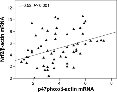 Figure 6 Correlation between p47phox and Nrf2 mRNA expression in PBMC of all non-COPD and COPD subjects.