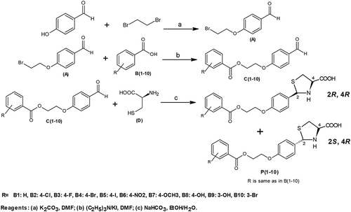 Figure 1 Synthesis of thiazolidine-4-carboxylic acid derivatives.