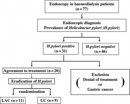 Figure 1. Demographic schema of study design. Seventy-seven hemodialysis patients underwent upper gastrointestinal endoscopy. The presence of Helicobacter pylori (H. pylori) was assessed by histology, rapid urease test and cultivation. Positive H. pylori status was assigned based upon at least two positive results. Patients who were diagnosed as being H. pylori-positive and wished to receive therapy were enrolled into this study. Patients were randomly assigned into two groups.