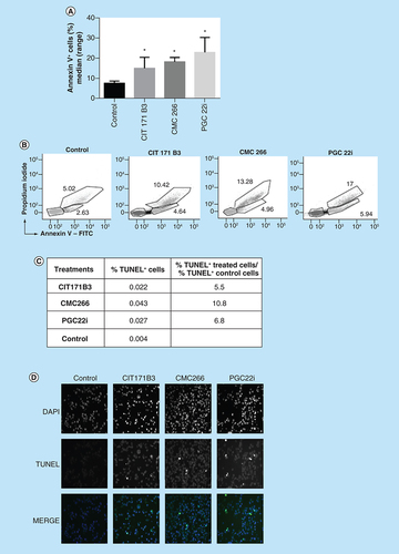 Figure 4. Apoptosis induced by the treatment.(A) After 18 h of treatment with the compounds (25 μM), 4T1 cells were collected, washed and stained with Annexin V-FITC and propidium iodide. It shows the percentage of Annexin V+ cells (median [range] of three independent experiments); (Mann–Whitney test) compared with control cells; (B) Flow cytometry profiles for each compound; (C) After 18 h of treatment with the selected compounds CIT171B3, CMC266 and PGC22i (25 μM), apoptotic cells were identified in sections of paraffin-embedded cells, using terminal deoxynucleotidyl transferase-mediated deoxyuridine triphosphate-peroxidase nick end labeling assay. The table shows the ratio between the percentage of terminal deoxynucleotidyl transferase-mediated deoxyuridine triphosphate-peroxidase nick end labeling positive-treated cells and the percentage obtained in nontreated control cells; (D) Photos representative of each treatment 1000X.*p < 0.05.DAPI: 4′,6-diamidino-2-phenylindole; TUNEL: Terminal deoxynucleotidyl transferase-mediated deoxyuridine triphosphate-peroxidase nick end labeling.