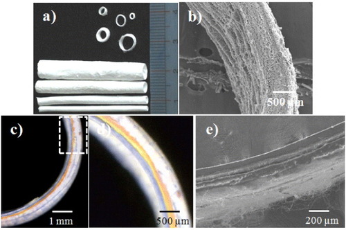 Figure 5. Artificial blood vessels with different inner diameters (a), cross-section (b), the three layers of the PCL–gelatin/PLGA–gelatin/PLGA–chitosan fibrous tube stained in different colors (c), (d) and the bilayers of the PCL–gelatin/PLGA–chitosan fibrous tube (e).