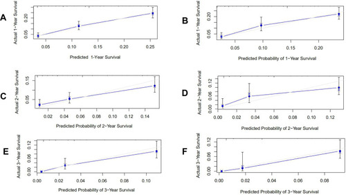 Figure 2 Calibration curves for the nomograms. The nomograms predicted the 1- (A for the primary cohort, B for the validation cohort), 2-year (C for the primary cohort, D for the validation cohort) and 3-year (E for the primary cohort, F for the validation cohort) overall survival of patients with hepatocellular carcinoma (HCC) presenting with pulmonary metastasis.