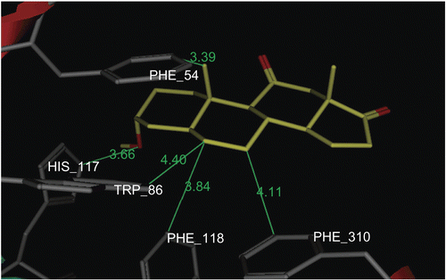 Figure 4.  Docking of metabolite 4 (yellow stick) in the active site of PGE2 9-KR. Hydrogen atoms of the amino acid residues have been removed to improve clarity.
