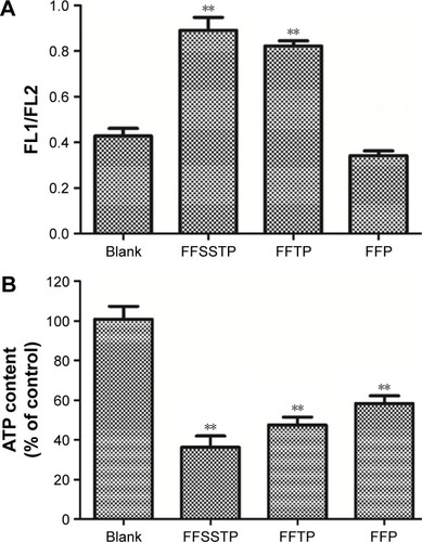 Figure 8 Effects of different PTX preparations on mitochondrial function.Notes: (A) Effects of FFSSTP, FFTP, and FFP on mitochondrial membrane potential after 12 h of incubation (mean ± SD, n=3). (B) Effects of FFSSTP, FFTP, and FFP on mitochondrial membrane potential on intracellular ATP level of MCF-7/PTX cells after 2 h of incubation (mean ± SD, n=3). **P<0.01: significantly different from blank group.Abbreviations: ATP, adenosine triphosphate; FA, folate; FFP, F127-FA/FT/P123; FFSSTP, F127-folate/F127-disulfide bond-d-α-tocopheryl polyethylene glycol 1000 succinate/P123; FFTP, F127-FA/FT/P123; FT, F127-TPGS; PTX, paclitaxel; TPGS, d-α-tocopheryl polyethylene glycol 1000 succinate.