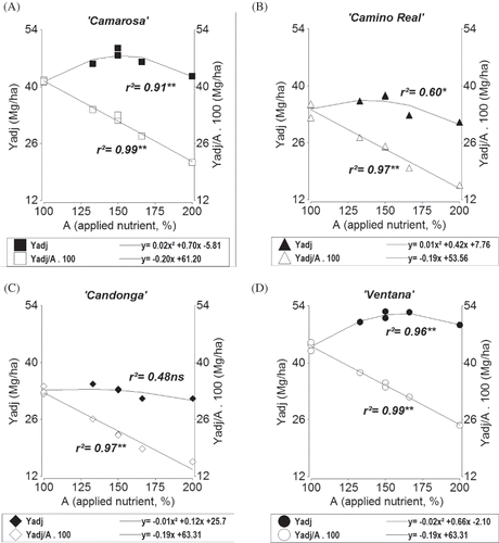 FIGURE 1 Effects of applied nutrient on adjusted yield (Yadj ), and on adjusted productivity from applied nutrient (Yadj /A), for ‘Camarosa’ (A), ‘Camino Real’ (B), ‘Candonga’ (C), and ‘Ventana’ (D) (3-year data combined). In the applied nutrient axis (A), 100% is the control treatment (C), which is equal to 120 N, 70 P2O5, 220 K2O, 40 CaO, and 20 MgO (kg/ha). “**” and “ns” indicate high (p < 0.01) and non-significance, respectively.