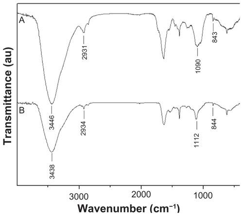 Figure 3 Fourier transform infrared spectra of (A) Spirulina polysaccharide and (B) selenium nanoparticles functionalized by Spirulina polysaccharide.Abbreviation: au, absorbance units.