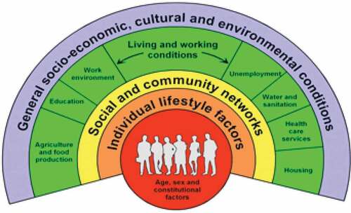 Figure 1. The main determinants of health. Each layer shows the influences that can impact health, starting with a base layer of individuals with fixed set of genes and sociodemographic characteristics and expanding outward to structural factors. This illustration can be found at https://esrc.ukri.org/about-us/50-years-of-esrc/50-achievements/the-dahlgren-whitehead-rainbow/.