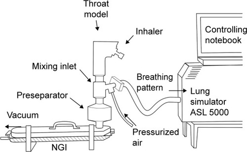 Figure 2 Impactor measurement.Notes: Setup consisting of Alberta throat model, mixing inlet, lung simulator, and NGI. For aqueous aerosol (Respimat) the feed air was humidified (RH >95%) in order to avoid artificial particle shrinking inside the impactor. For dry powders, ambient nonhumidified air was used, which had a relative humidity of 40%–50%.Abbreviations: ASL, active servo lung; NGI, next generation impactor; RH, relative humidity.
