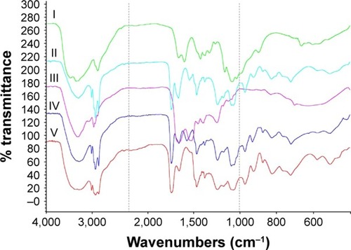 Figure 2 Fourier transform infrared spectroscopy analysis of the components of insulin-loaded L/C NPs.Notes: I: chitosan, II: insulin–lecithin complex, III: insulin, IV: insulin-loaded L/C NPs (L/C ratio of 20:1), and V: lecithin.Abbreviations: L/C NPs, lecithin/chitosan nanoparticles; L/C, lecithin/chitosan.