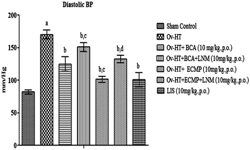 Figure 6. Effect of pharmacological interventions on diastolic blood pressure in ovariectomized hypertensive rats.