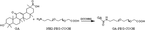 Figure 1. Scheme for synthesis of GA-PEG-COOH.