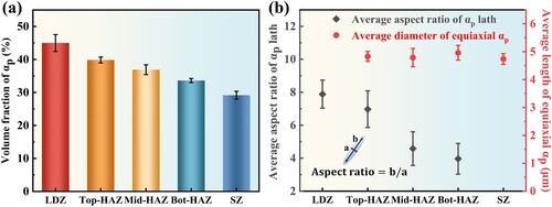 Figure 4. (a) The volume percentage of the αp phases and (b) the average aspect ratio of the αp laths and the average diameter of the equiaxed αp phases at different locations in the heat-treated hybrid manufactured TC11 alloy.