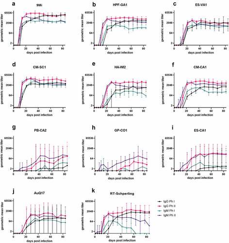 Figure 5. Antibody responses in mice after infection with isolates of C. burnetii. Mice were infected with C. burnetii isolates via inhalation and serum antibody levels to C. burnetii phase I and phase II antigens were measured for 12 weeks (84 days). The geometric mean titer ± range is displayed for each group of mice infected with the indicated isolates. Antibodies IgM phase II (purple), IgM phase I (green), IgG phase II (red), and IgG phase I (black) were detected using an in-house IFA