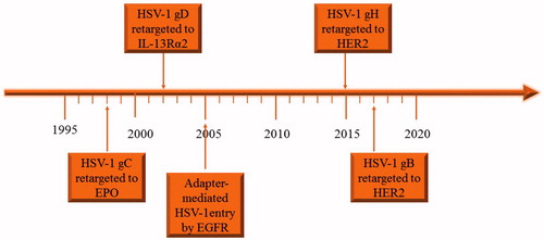 Figure 1. The timeline of engineering the glycoproteins of HSV to retarget to tumor cells.