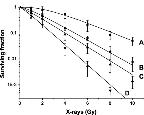 Figure 1 Dose-survival curves of the A973 cells after irradiation with or without erlotinib, based on different administration schedules. (A) Radiation groups; (B) groups receiving irradiation before erlotinib administration; (C) groups receiving simultaneous irradiation and erlotinib administration; and (D) groups receiving irradiation after erlotinib administration.