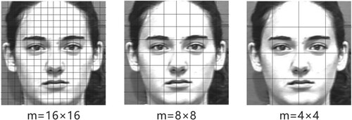 Figure 4. Schematic diagram of image region division