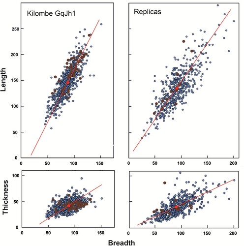 Figure 3. Scatterplots of Length, Breadth and Thickness for the two assemblages. The fitted lines (Reduced major axes) in the Replica series pass through or very close to the geometric origin. The Kilombe series show allometry, with a rotation of the line especially clear for Length and Breadth. Both series show densely populated ovoids in the distributions, with a thinner and more dispersed scatter of points at the large end of the spectrum, especially evident in the Replica set.