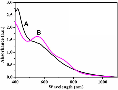 Figure 1 UV-vis absorption spectra of Neat Acalypha indica leaf extract (curve A in black colour) and AuNPs synthesized from Acalypha indica (curve B in pink colour).Abbreviations: AuNPs, gold nanoparticles; UV-vis, ultraviolet-visible.
