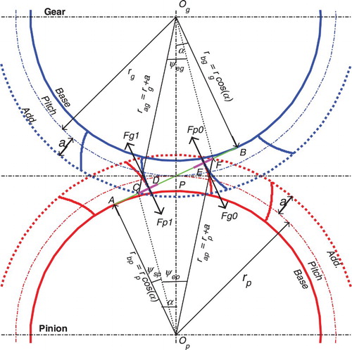 Figure 1. Meshing process of spur gear pairs.