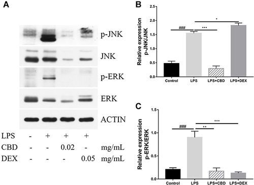 Figure 4 Regulatory effect of CBD and DEX on the MAPK pathway in LPS-induced RAW264.7 cells. Data are expressed as the mean±SD of three independent experiments. (A) Western blot analysis of the expression of p-JNK, JNK, p-ERK, ERK, and actin in RAW264.7 cells. (B) Densitometry for p-JNK levels normalized to total JNK levels. (C) Densitometry for p-ERK levels normalized to total ERK levels. The significance difference of LPS vs Blank group ###p<0.001; the significance difference CBD-treated group or DEX-treated group vs LPS treated group *p<0.05, **p<0.01, and ***p<0.001.