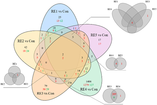 Figure 2. Venn diagram depiction of differentially expressed genes following RE treatments. Whole plant tissue was collected from wild-type canola plants (Westar, Brassica napus) treated with RE1–5 after 3 sprays each. Triplicate RNA samples were isolated from each treatment (control and RE1–5) and subjected to RNA sequencing. A cutoff of the absolute value of the Log2 fold change ≥ 2 was used to determine differentially expressed genes relative to control plants. The above venn diagram depicts the number of all differentially expressed genes between the RE1–5 treatments (values in black) with an additional breakdown for directionality (up-regulated genes are shown in red, and down-regulated genes are shown in green). Additional venn diagrams demonstrate the overlapping regions for genes with different directionality under different RE treatment conditions.