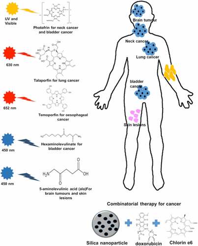 Figure 6. The clinical application of PDT against various disease. Several advancements have been made in field of PDT which facilitated its clinical application. The involvement of new generation of photosensitizer and combinatorial therapies have supported the use of PDT against several diseases which are showing promising results.