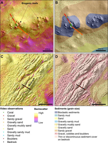 Figure 7. Examples of how bioclastic sediments and bedrock (thin or discontinuous sediment cover on bedrock) are interpreted from shaded relief and backscatter data. (A) Backscatter mosaic on shaded relief showing biogenic reefs, (B) interpreted sediment grain-size map showing bioclastic sediments, (C) backscatter mosaic on shaded relief in bedrock area, (D) interpreted sediment grain-size map showing bedrock and other sediment types. The video class ‘Coral’ includes both live corals and bioclastic sediments (sediments consisting of dead coral structures ranging in grain size from sand to blocks, and remnants of other dead organisms). See Figure 1 for location.