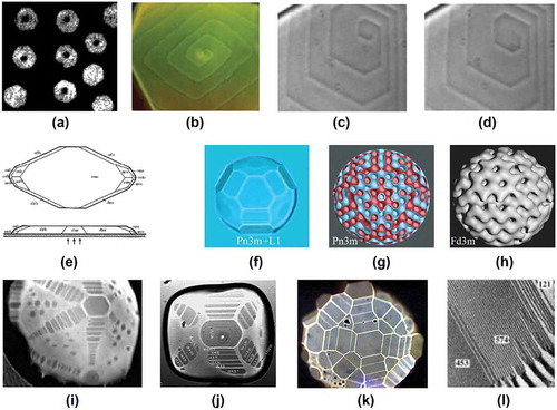 Figure 3. Facets of liquid single crystals. (a) Dislocations in single crystals of a hexagonal blue phase, BPH3D. (b)–(d) Spiral-like surface steps emerging from a screw dislocation on surfaces of liquid single crystals: (b) blue phase; (c), (d) lyotropic cubic phase. (e) Facets of a BP1 blue phase single crystal. (f)–(h) Facets of a bicontinuous lyotropic phase grown in an L1-phase environment and calculated structures thereof; (i)–(l) liquid single crystals and soft crystals grown in a gas environment: (i), (j) lyotropic cubic phase; (k) facets of a thermotropic bicontinuous cubic phase and (l) surface steps on the facets detected by AFM. With kind permission by the respective publisher, the figures are reproduced from the following references: (a) Figure 3 from Ref. [Citation27]. (© EDP Sciences); (b), (f), (g) Figure 9 and Figure 16 from Ref. [Citation70]. (© Elsevier); (c), (d) Figure 7 from Ref. [Citation59]. (© IOP Publishing); (e) Figure 1 from Ref. [Citation20]. (© EDP Sciences); (h) Figure 18 from Ref. [Citation61]. (© EDP Sciences); (i), (j) Figure 5(c) and Figure 7 from Ref. [Citation54]. (© EDP Sciences); (k), (l) Figure 5 and Figure 11 from Ref. [Citation41]. (© EDP Sciences).