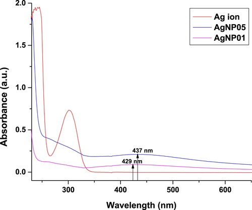 Figure 2. UV–Vis spectra analysis: Plasmon resonance of AgNP05 reduced by D. carota at 437 nm and plasmon resonance of AgNP01 reduced by D. Carota at 429 nm.