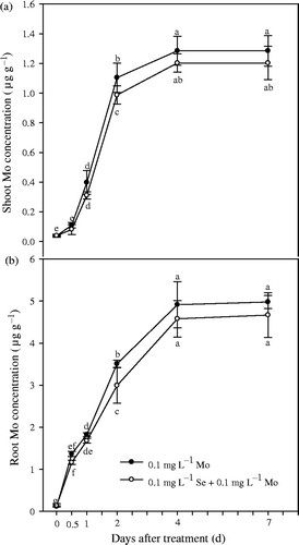 Figure 3. Effects of selenium (Se) treatment on molybdenum (Mo) concentrations in shoot and root of Chinese cabbage (Brassica campestris L. ssp. Pekinensis) in Experiment 2. Bars indicate standard error (n = 4). Different letters indicate significant differences at p < 0.05.