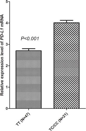 Figure 6 Relative expression level of PDL1 mRNA based on PDL1 rs2297136 genotype status.