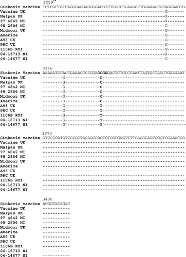 Figure 3.  Nucleic acid sequence of ILTV isolates. The isolates presented in Table 1 were amplified to give a 222-bp product using PCR primers in the ICP4 gene. The region in bold identifies the MspI restriction endonuclease site. *Y = C/T. **Sequence numbering is according to a previously published ILTV sequence (Johnson et al., Citation1995; accession number L32139).