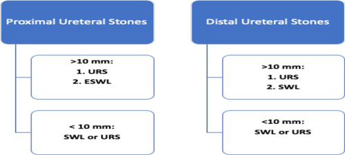 Figure 3 Flowchart reveals the EAU guideline summary of the management of proximal and distal ureteral stones.