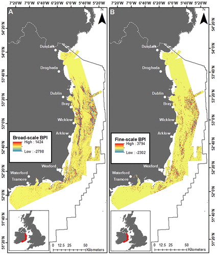 Figure 3. Parameters derived from bathymetry using ArcGIS Benthic Terrain Modeler: (A) broad-scale BPI and (B) fine-scale BPI.