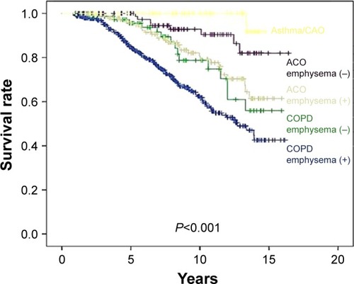 Figure 2 Kaplan–Meier survival curves for COPD, ACO, and asthma/CAO subclassified by the emphysema.