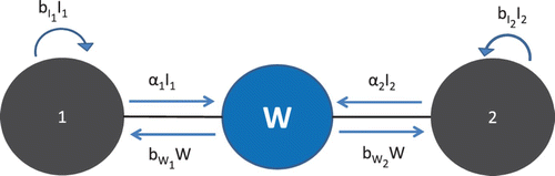 Figure 2. Schematic of 2-patch model.