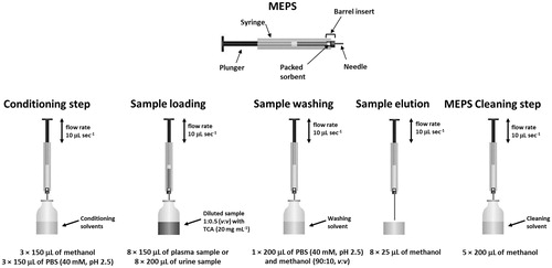 Figure 2. Schematic illustration of the optimized MEPS extraction procedure.