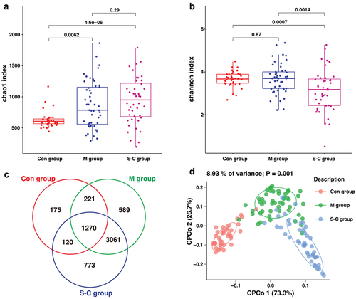 Figure 2. The microbial α diversity and β diversity analysis in different groups. (a) Chao 1 index was higher in M and S-C group than in Con group. (b) The S-C group had significantly lower Shannon index, in comparison with M group and Con group. (c) A Venn diagram displayed the overlaps among groups. (d) PLS-DA revealed different microbial community structures in the three groups.