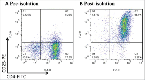 Figure 1. CD4+CD25+Treg cells were freshly isolated from mouse splenocytes using magnetic beads. Mouse splenocytes went through negative selection for CD4+ T cells, followed by CD25+ positive selection. After the process above, the purity was up to >94% by FCM. Data was representative of at least 3 cell isolation experiments.