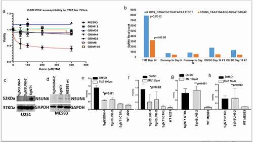 Figure 2. Genome wide CRISPR to reveals genes controlling response to Temozolomide (TMZ).