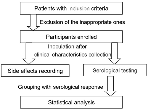 Figure 1 Flow chart of the evaluation.