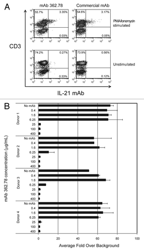 Figure 4 IL-21 mAb binds to and neutralizes native IL-21. (A) APC-labeled IL-21 mAb (362.78; purified from the 2nd round hybridoma clone) binds intracellular IL-21 in PMA+ionomycin-stimulated (upper panels), but not unstimulated (lower panels) human T cells. Total PBMC were stained with anti-CD3-FITC and counterstained with either mAb 362.78 (left panels), a commercially available APC-labeled positive control IL-21 mAb (IgG4) (right panels), or an APC-labeled IgG4 isotype control mAb (not shown). The APC staining from the isotype control mAb was used to set the quadrants shown. Results shown are representative of three independent experiments. (B) IL-21 mAb (clone 362.78) neutralized native IL-21-induced STAT3 phosphorylation. CD4+ T cells were isolated from four healthy donors and stimulated for 16 h with PMA+ionomycin to generate conditioned media containing native IL-21. Media was then incubated with a titration of IL-21 mAbs, cultured with BaF3/IL-21R cells for 15 min and pSTAT3 was measured. IL-21-mediated pSTAT3 from all four donors was blocked in a dose-dependent manner by IL-21 mAb.