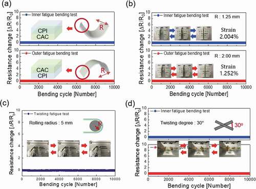Figure 6. (a) Resistance changes of the outer/inner bending radius tests of multilayer CAC film on CPI (50 µm) in accordance with the bending radius (b) Resistance changes of the inner/outer bending fatigue tests of the multilayer CAC film on CPI (50 µm) in accordance to increase bending cycles. The bending radius of inner bending fatigue tests is 1.25 mm, bending radius of outer bending fatigue test is 2.00 mm. (c) The changes in resistance of the rolling and (d) twisting fatigue tests of the CAC film on CPI (50 µm) in accordance to an increase in bending cycles. The rolling radius of the rolling fatigue tests is 5 mm, and the maximum twisting angle of the twisting fatigue test is 30°.