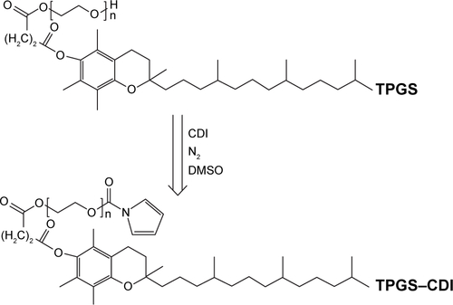 Figure S4 Synthesis of TPGS–CDI.Abbreviations: CDI, N,N′-carbonyldiimidazole; DMSO, dimethyl sulfoxide; TPGS, d-α-tocopheryl polyethylene glycol 1000 succinate.